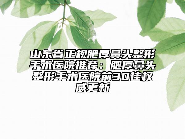 山东省正规肥厚鼻头整形手术医院推荐：肥厚鼻头整形手术医院前30佳权威更新