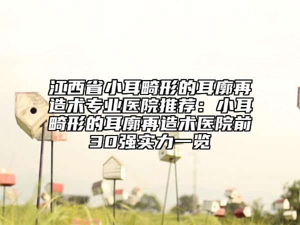 江西省小耳畸形的耳廓再造术专业医院推荐：小耳畸形的耳廓再造术医院前30强实力一览
