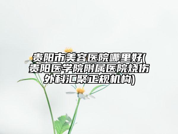 贵阳市美容医院哪里好(贵阳医学院附属医院烧伤外科汇聚正规机构)