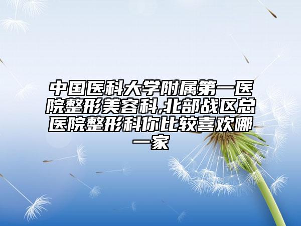 中国医科大学附属第一医院整形美容科,北部战区总医院整形科你比较喜欢哪一家