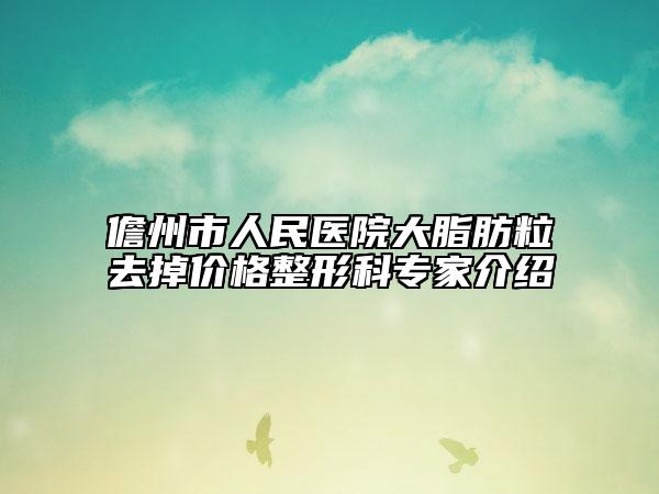 儋州市人民医院大脂肪粒去掉价格整形科专家介绍