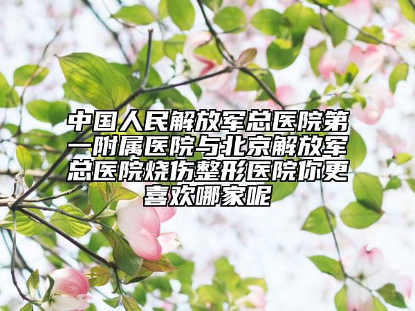 中国人民解放军总医院第一附属医院与北京解放军总医院烧伤整形医院你更喜欢哪家呢