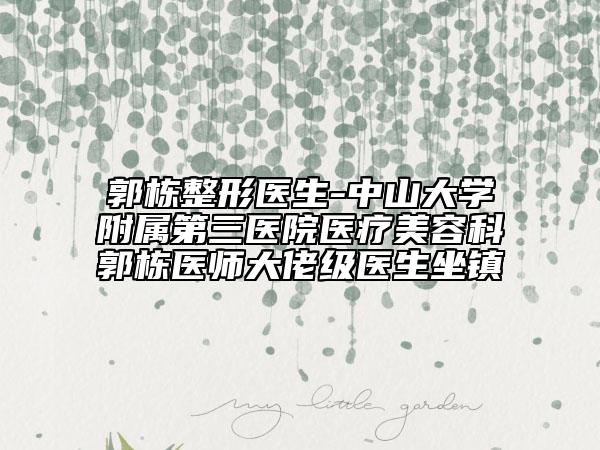 郭栋整形医生-中山大学附属第三医院医疗美容科郭栋医师大佬级医生坐镇