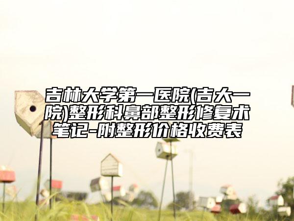 吉林大学第一医院(吉大一院)整形科鼻部整形修复术笔记-附整形价格收费表