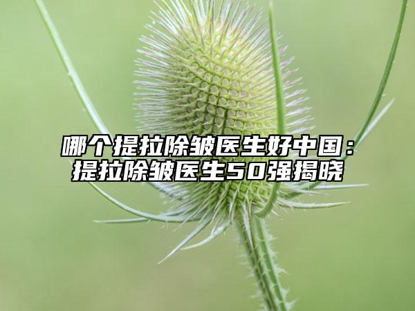哪个提拉除皱医生好中国：提拉除皱医生50强揭晓