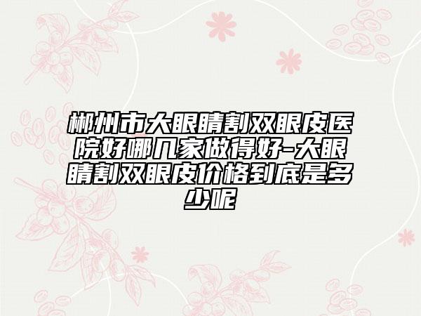 郴州市大眼睛割双眼皮医院好哪几家做得好-大眼睛割双眼皮价格到底是多少呢