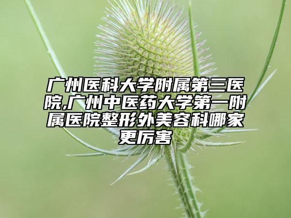广州医科大学附属第三医院,广州中医药大学第一附属医院整形外美容科哪家更厉害