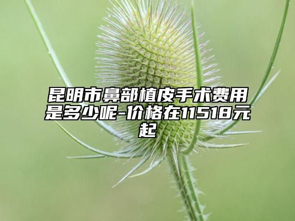 昆明市鼻部植皮手术费用是多少呢-价格在11518元起