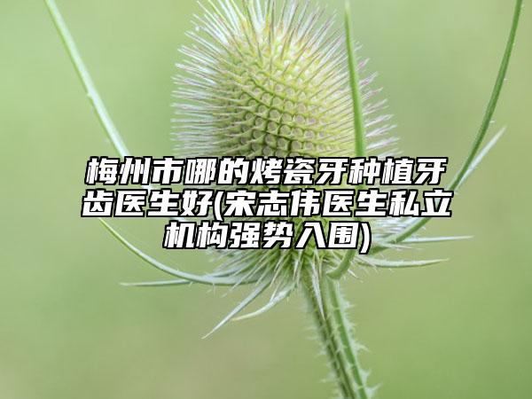梅州市哪的烤瓷牙种植牙齿医生好(宋志伟医生私立机构强势入围)