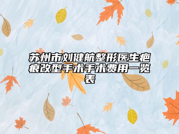 苏州市刘健航整形医生疤痕改型手术手术费用一览表
