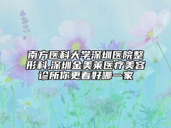 南方医科大学深圳医院整形科,深圳金美莱医疗美容诊所你更看好哪一家