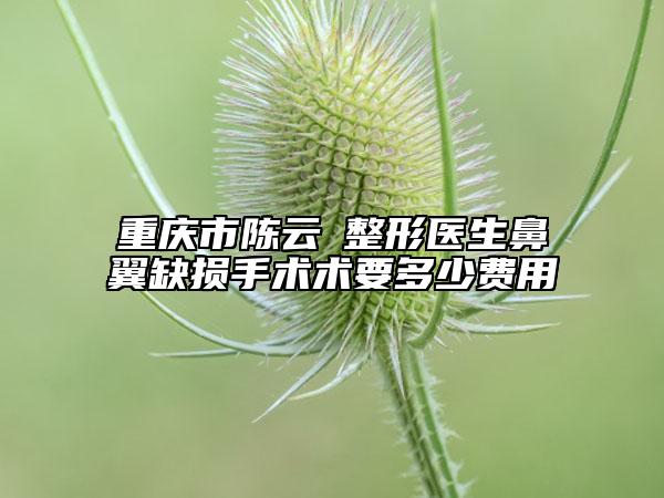 重庆市陈云堃整形医生鼻翼缺损手术术要多少费用