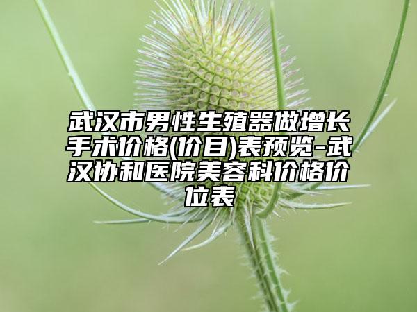 武汉市男性生殖器做增长手术价格(价目)表预览-武汉协和医院美容科价格价位表