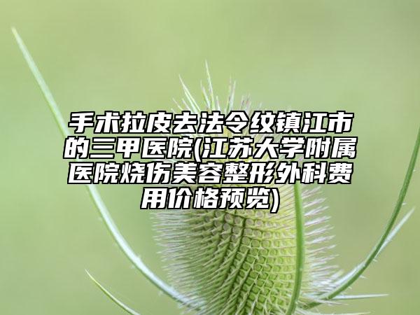 手术拉皮去法令纹镇江市的三甲医院(江苏大学附属医院烧伤美容整形外科费用价格预览)