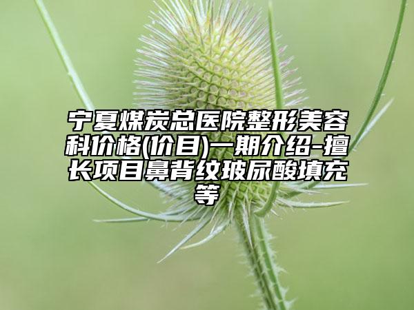 宁夏煤炭总医院整形美容科价格(价目)一期介绍-擅长项目鼻背纹玻尿酸填充等