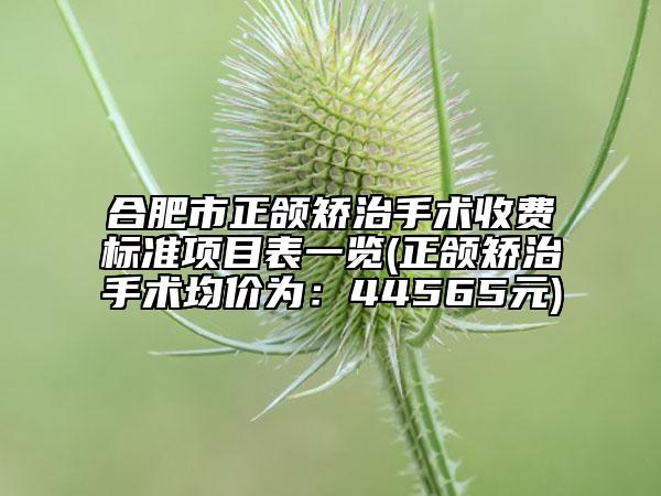 合肥市正颌矫治手术收费标准项目表一览(正颌矫治手术均价为：44565元)