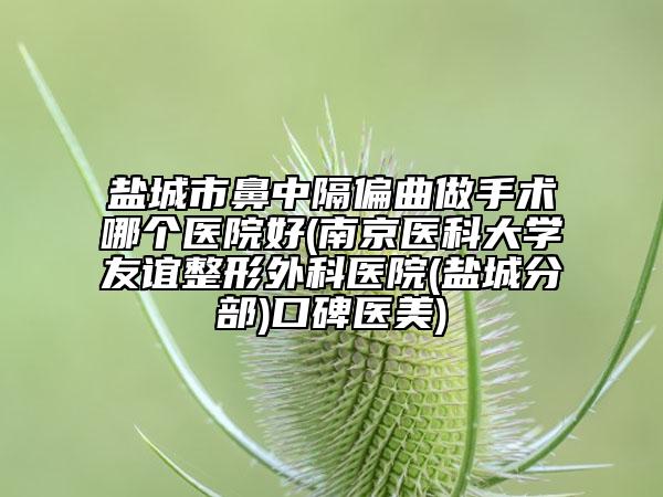 盐城市鼻中隔偏曲做手术哪个医院好(南京医科大学友谊整形外科医院(盐城分部)口碑医美)