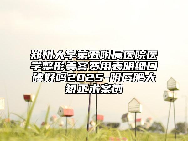 郑州大学第五附属医院医学整形美容费用表明细口碑好吗2025-阴唇肥大矫正术案例