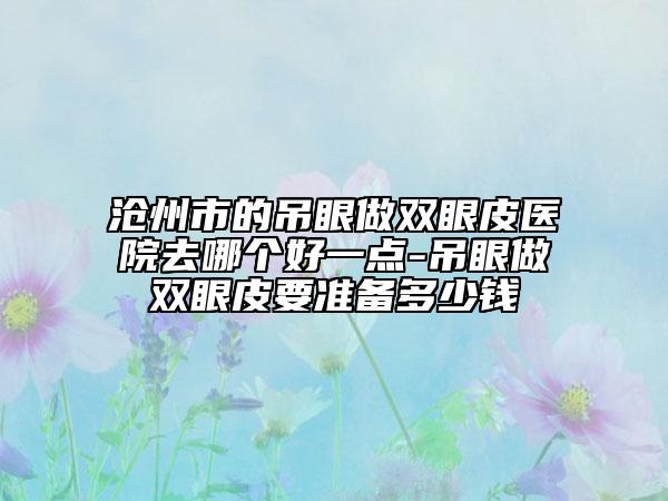 沧州市的吊眼做双眼皮医院去哪个好一点-吊眼做双眼皮要准备多少钱