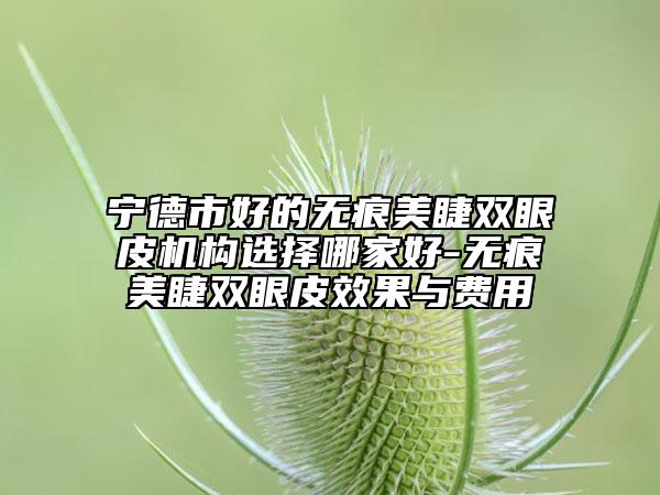 宁德市好的无痕美睫双眼皮机构选择哪家好-无痕美睫双眼皮效果与费用