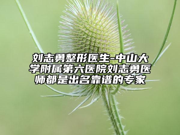 刘志勇整形医生-中山大学附属第六医院刘志勇医师都是出名靠谱的专家