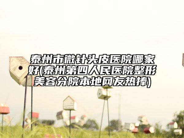 泰州市微针头皮医院哪家好(泰州第四人民医院整形美容分院本地网友热捧)