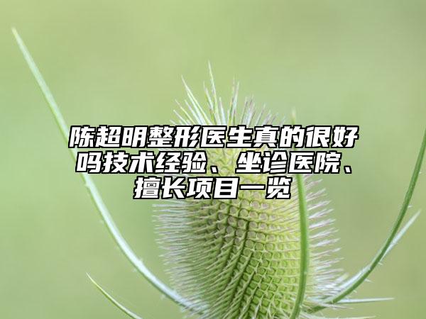 陈超明整形医生真的很好吗技术经验、坐诊医院、擅长项目一览