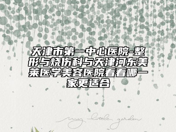天津市第一中心医院-整形与烧伤科与天津河东美莱医学美容医院看看哪一家更适合