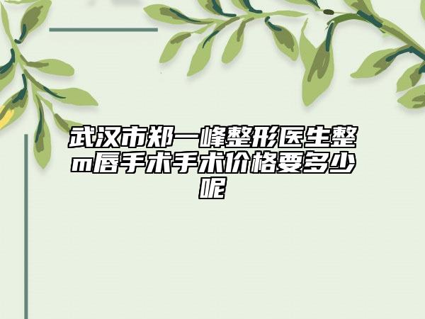 武汉市郑一峰整形医生整m唇手术手术价格要多少呢