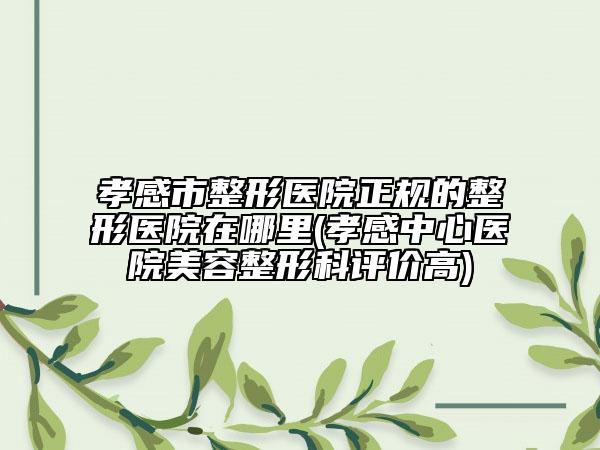 孝感市整形医院正规的整形医院在哪里(孝感中心医院美容整形科评价高)