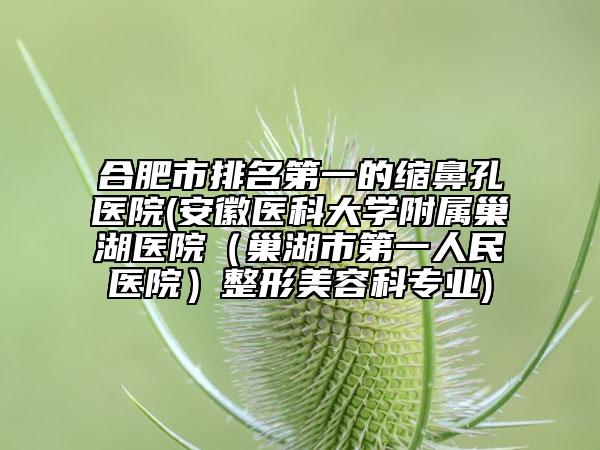 合肥市排名第一的缩鼻孔医院(安徽医科大学附属巢湖医院（巢湖市第一人民医院）整形美容科专业)