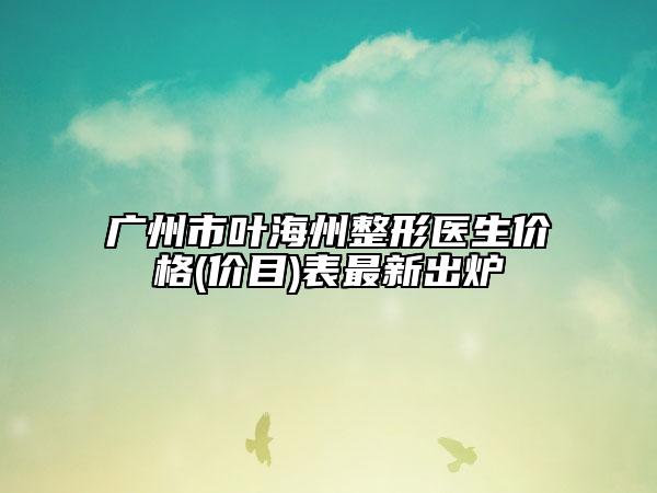 广州市叶海州整形医生价格(价目)表最新出炉
