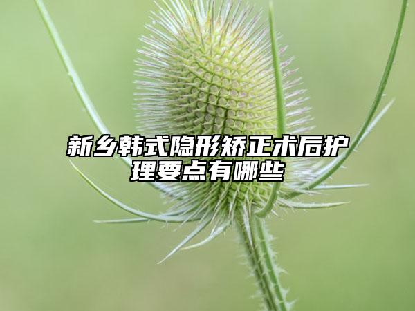 新乡韩式隐形矫正术后护理要点有哪些