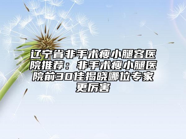 辽宁省非手术瘦小腿容医院推荐：非手术瘦小腿医院前30佳揭晓哪位专家更厉害