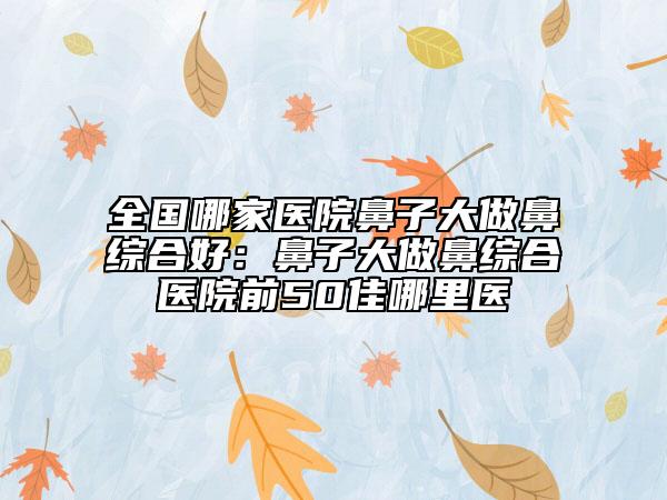 全国哪家医院鼻子大做鼻综合好：鼻子大做鼻综合医院前50佳哪里医